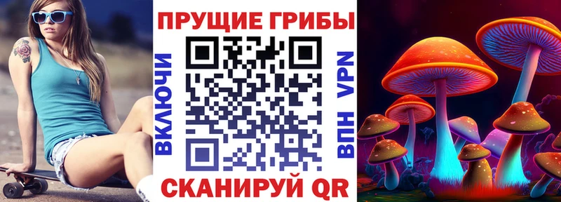 kraken как войти  купить наркоту  Обнинск  Псилоцибиновые грибы Psilocybe 