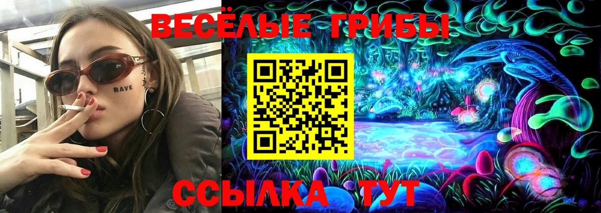 Псилоцибиновые грибы Psilocybe  Обнинск  где можно купить наркотик  Галлюциногенные грибы прущие грибы 