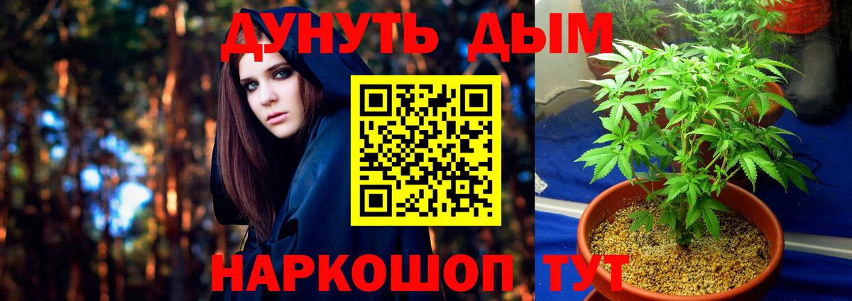 МАРИХУАНА сатива  Бошки марихуана тримм  Бошки марихуана марихуана  Вход с VPN  Обнинск  Канабис конопля 